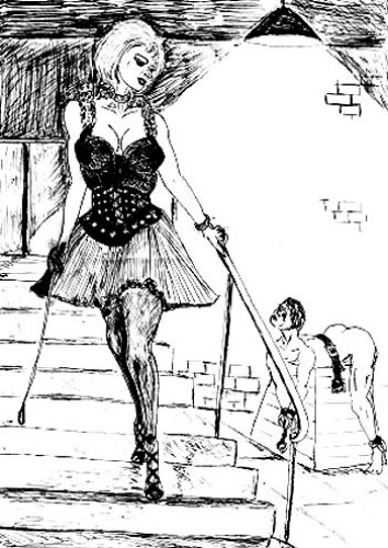 lady carole o24
